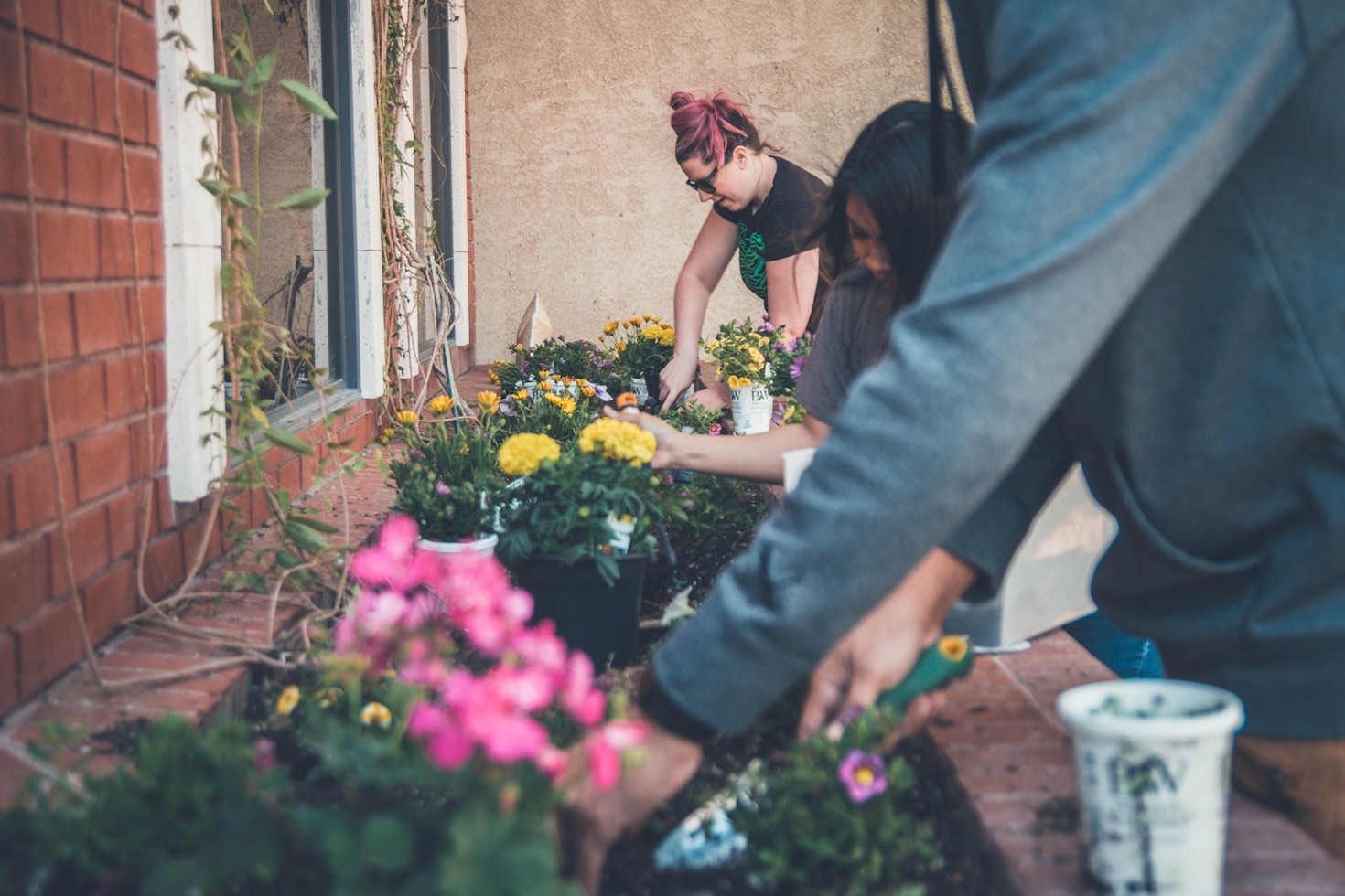 How Permaculture Principles Drive Community Growth
