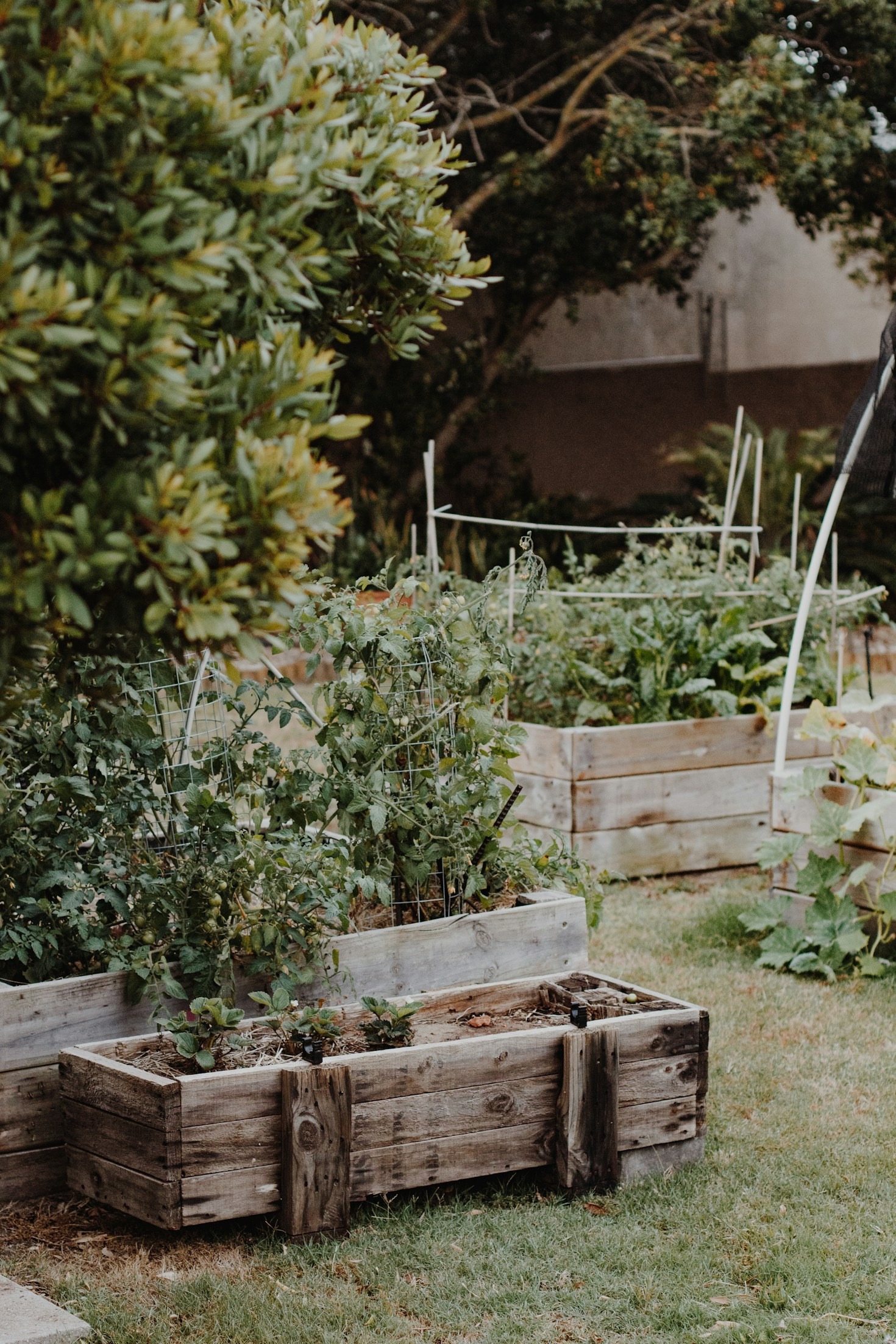 Exploring the Barter-Town Model for Local Economies