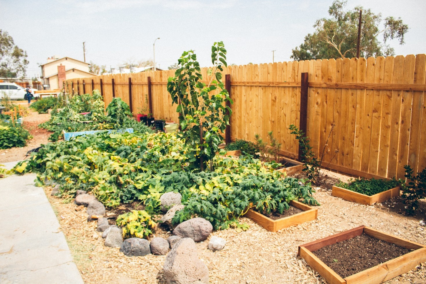 Success Stories from Our Permaculture-Based Projects